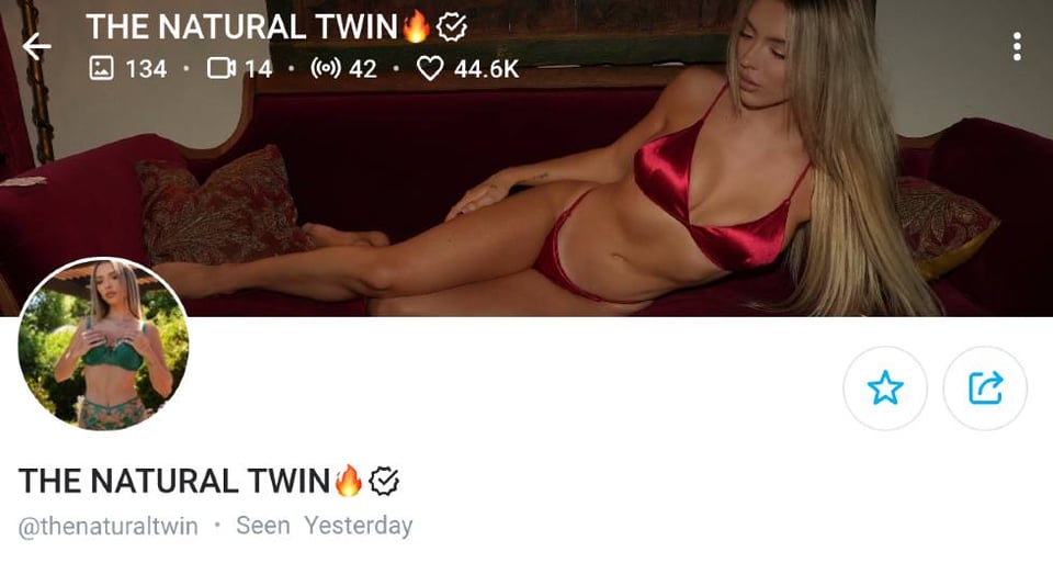 9. The Natural Twin – OnlyFans Twin TikTokers With Stunning Physiques